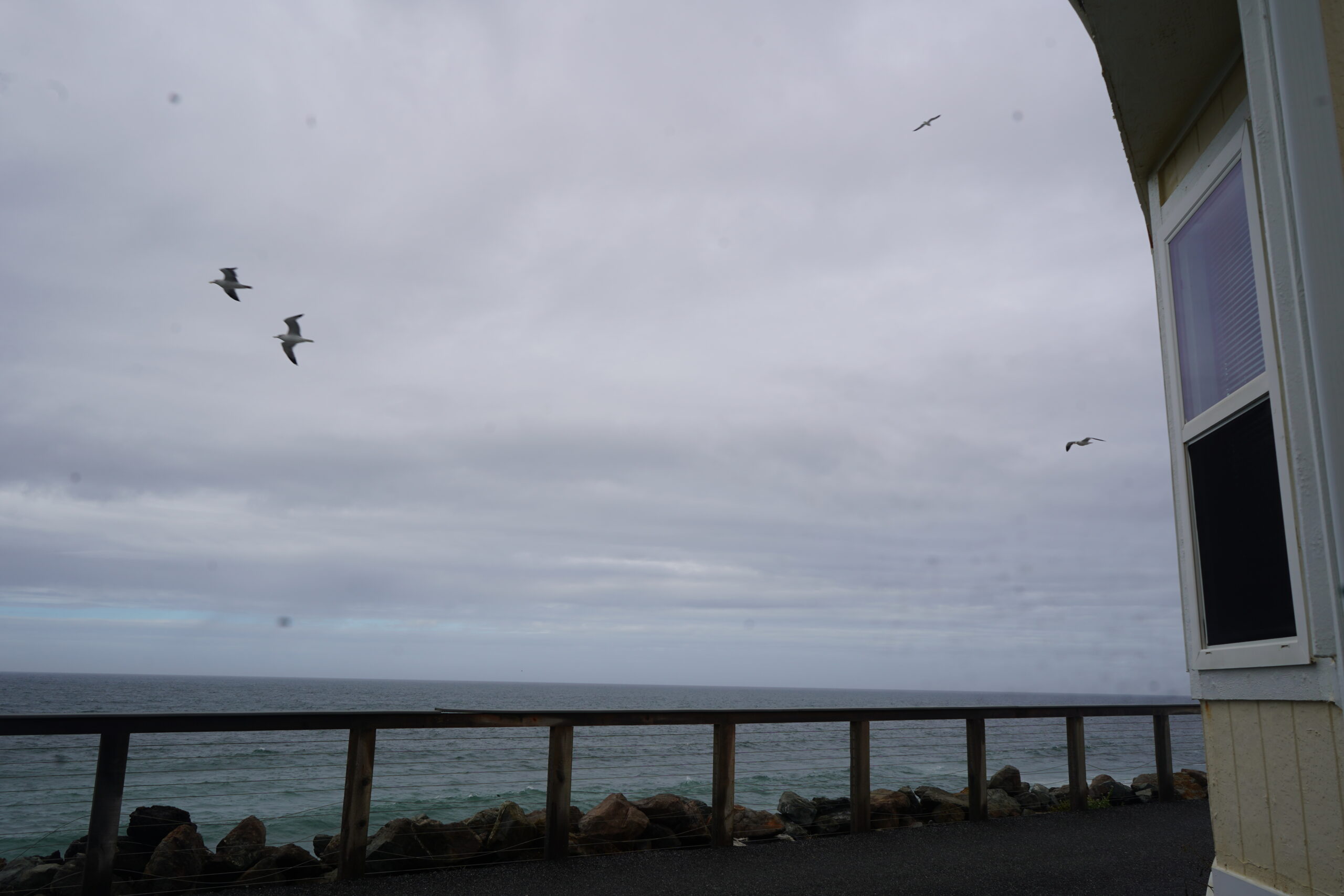 Seaside view with overcast skies and seagulls flying over the ocean, seen from a balcony.